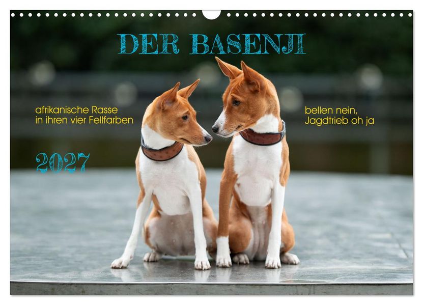 Der Basenji (Wandkalender 2027 DIN A3 quer) CALVENDO Monatskalender