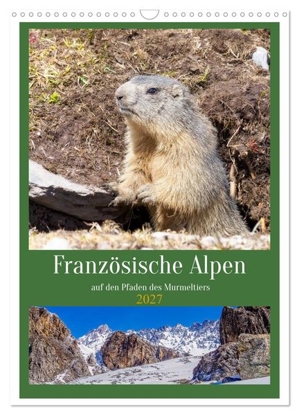 Französische Alpen auf den Pfaden des Murmeltiers (Wandkalender 2027 DIN A3 hoch) CALVENDO Monatskalender