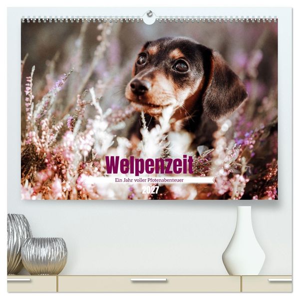 Welpenzeit - Ein Jahr voller spannender Pfotenabenteuer (hochwertiger Premium Wandkalender 2027 DIN A2 quer) Kunstdruck in Hochglanz