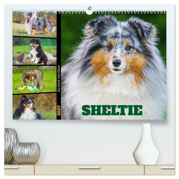 Sheltie - Ein Stück vom Glück (hochwertiger Premium Wandkalender 2027 DIN A2 quer) Kunstdruck in Hochglanz