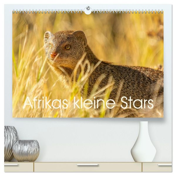Afrikas kleine Stars (hochwertiger Premium Wandkalender 2027 DIN A2 quer) Kunstdruck in Hochglanz