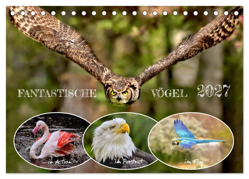 Fantastische Vögel (Tischkalender 2027 DIN A5 quer) CALVENDO Monatskalender