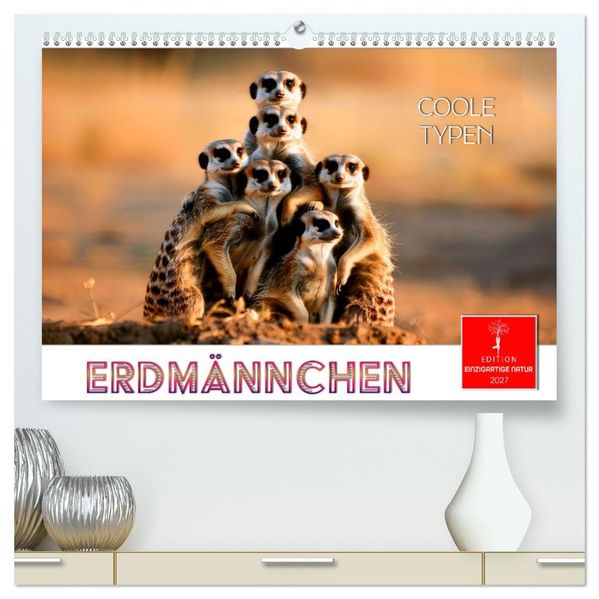 Erdmännchen - coole Typen (hochwertiger Premium Wandkalender 2027 DIN A2 quer) Kunstdruck in Hochglanz