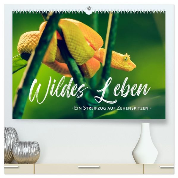 Wildes Leben - Ein Streifzug auf Zehenspitzen (hochwertiger Premium Wandkalender 2027 DIN A2 quer) Kunstdruck in Hochglanz