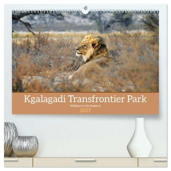 Kgalagadi - Fauna und Wildtiere in der Kalahari (hochwertiger Premium Wandkalender 2027 DIN A2 quer) Kunstdruck in Hochglanz