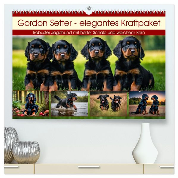 Gordon Setter - elegantes Kraftpaket (hochwertiger Premium Wandkalender 2027 DIN A2 quer) Kunstdruck in Hochglanz