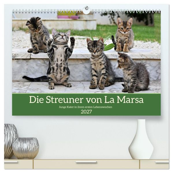 Die Streuner von La Marsa (hochwertiger Premium Wandkalender 2027 DIN A2 quer) Kunstdruck in Hochglanz
