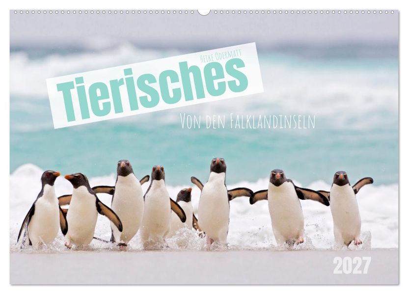 Tierisches von den Falklandinseln (Wandkalender 2027 DIN A2 quer) CALVENDO Monatskalender