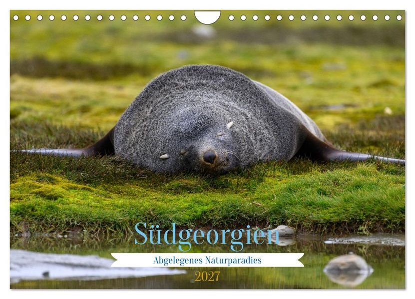 Südgeorgien - Abgelegenes Naturparadies (Wandkalender 2027 DIN A4 quer) CALVENDO Monatskalender