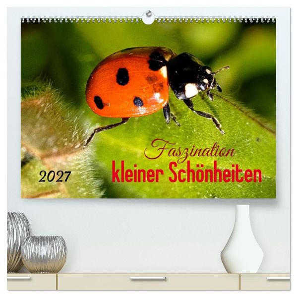 Faszination kleiner Schönheiten (hochwertiger Premium Wandkalender 2027 DIN A2 quer) Kunstdruck in Hochglanz
