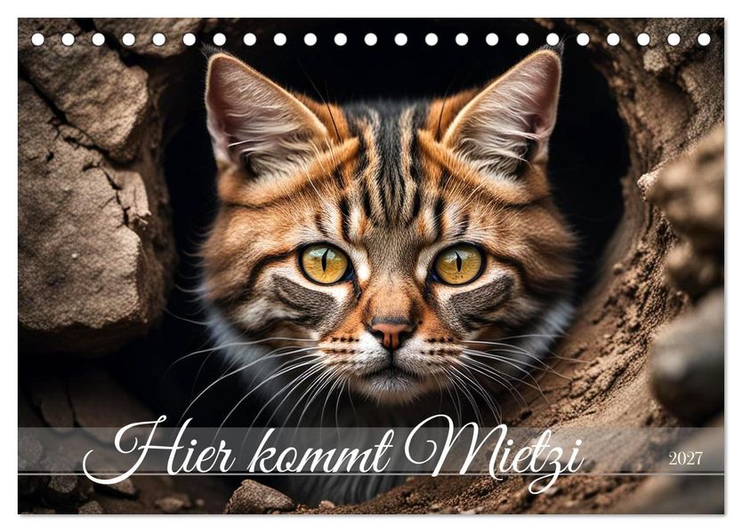 Hier kommt Mietzi (Tischkalender 2027 DIN A5 quer) CALVENDO Monatskalender