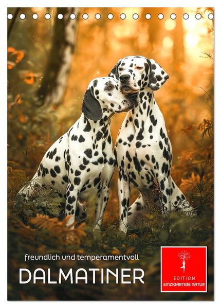 Dalmatiner - freundlich und temperamentvoll (Tischkalender 2027 DIN A5 hoch) CALVENDO Monatskalender