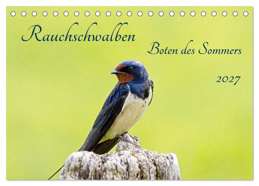 Rauchschwalben - Boten des Sommers (Tischkalender 2027 DIN A5 quer) CALVENDO Monatskalender