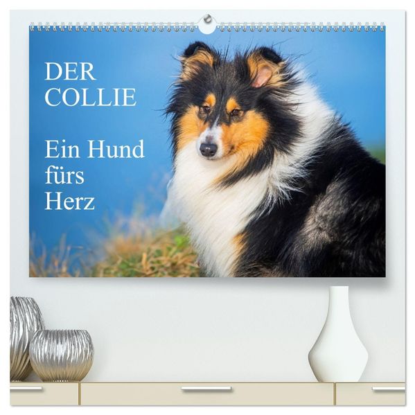 Der Collie - ein Hund fürs Herz (hochwertiger Premium Wandkalender 2027 DIN A2 quer) Kunstdruck in Hochglanz
