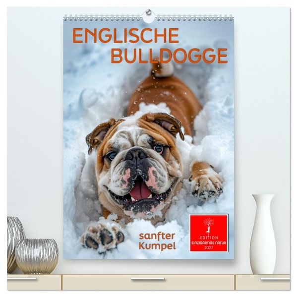 Englische Bulldogge - sanfter Kumpel (hochwertiger Premium Wandkalender 2027 DIN A2 hoch) Kunstdruck in Hochglanz