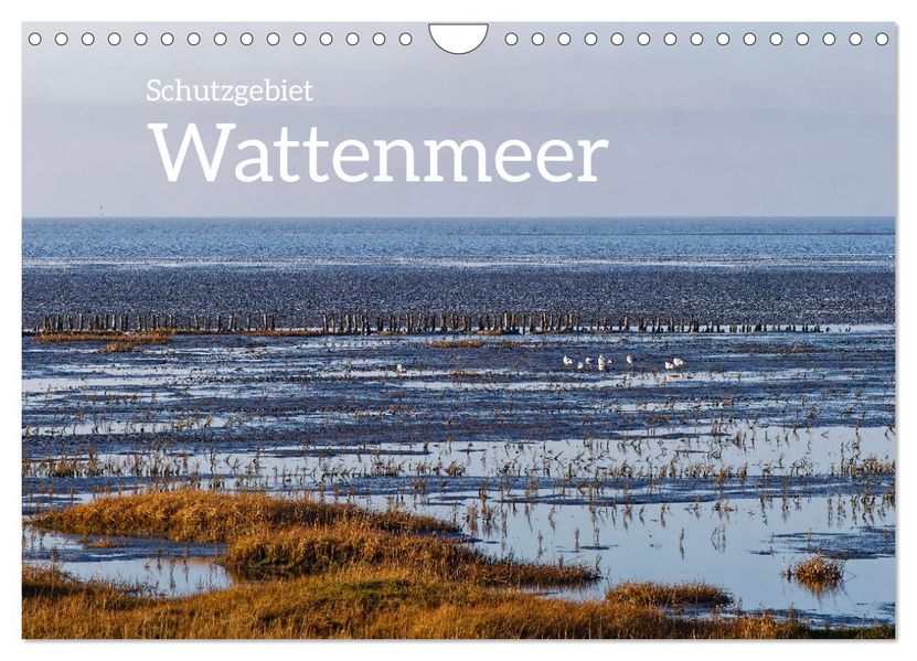 Schutzgebiet Wattenmeer (Wandkalender 2027 DIN A4 quer) CALVENDO Monatskalender