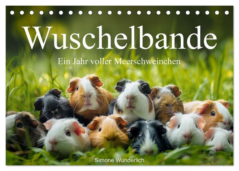 Wuschelbande - Ein Jahr voller Meerschweinchen (Tischkalender 2027 DIN A5 quer) CALVENDO Monatskalender