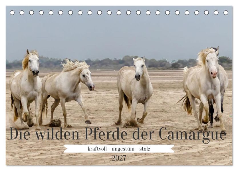 Die wilden Pferde der Camargue (Tischkalender 2027 DIN A5 quer) CALVENDO Monatskalender