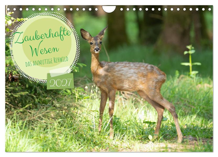 Zauberhafte Wesen - anmutiges Rehwild (Wandkalender 2027 DIN A4 quer) CALVENDO Monatskalender
