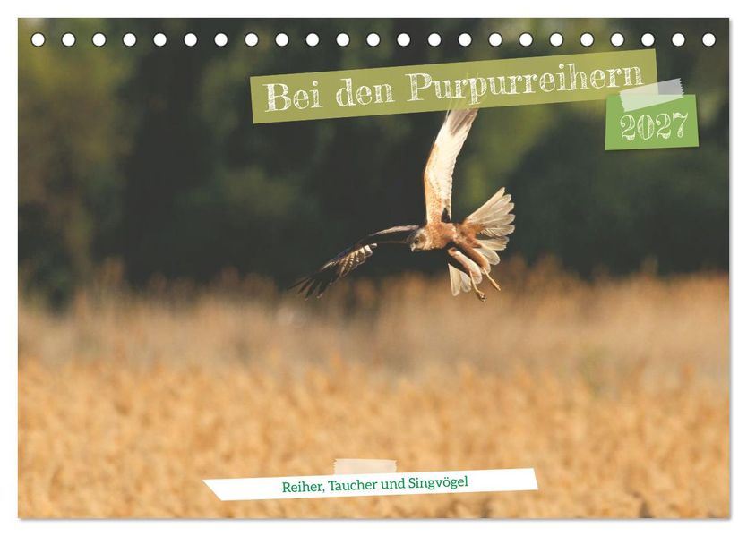 Bei den Purpurreihern (Tischkalender 2027 DIN A5 quer) CALVENDO Monatskalender
