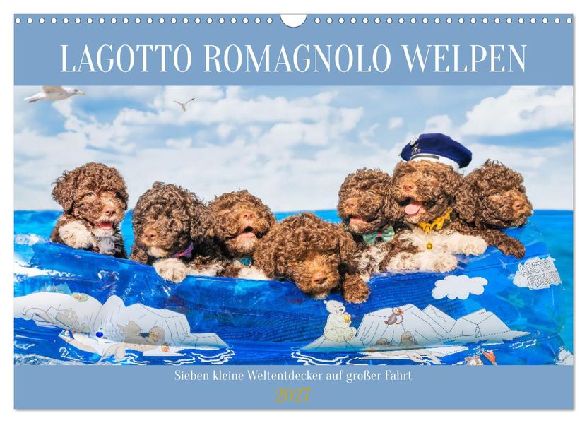 Lagotto Romagnolo Welpen - Sieben kleine Weltentdecker auf großer Fahrt (Wandkalender 2027 DIN A3 quer) CALVENDO Monatskalender
