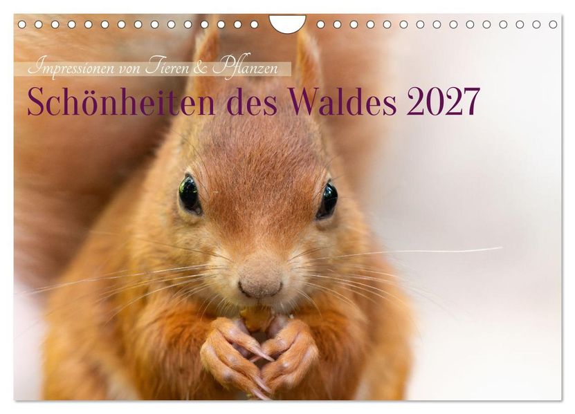 Schönheiten des Waldes (Wandkalender 2027 DIN A4 quer) CALVENDO Monatskalender