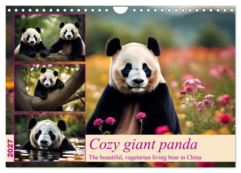 Cozy giant panda (Wall Calendar 2027 DIN A4 landscape) CALVENDO 12 Month Wall Calendar