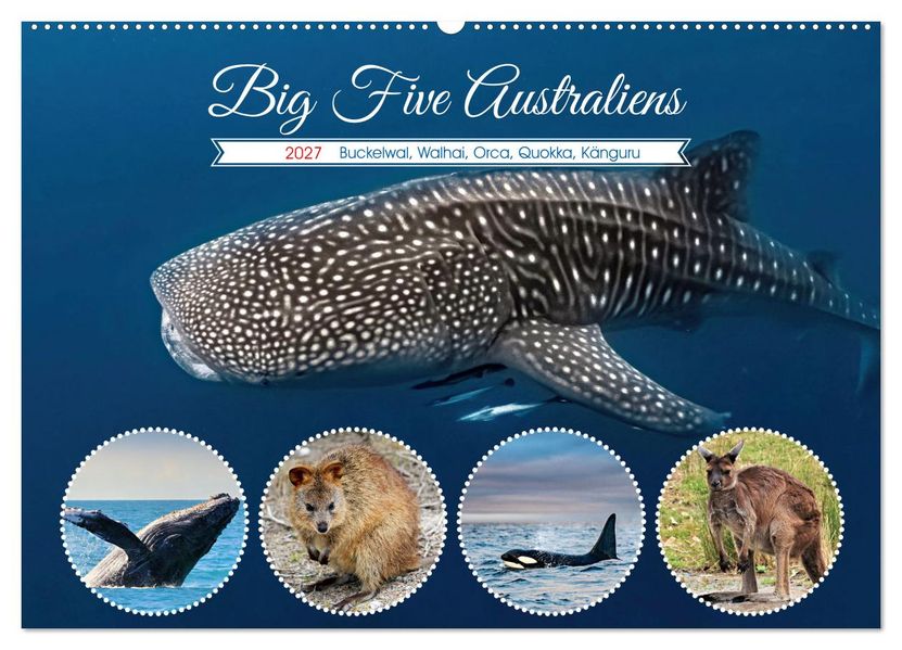 Big Five Australiens Buckelwal Walhai Orca QuokkaKänguru (Wandkalender 2027 DIN A2 quer) CALVENDO Monatskalender