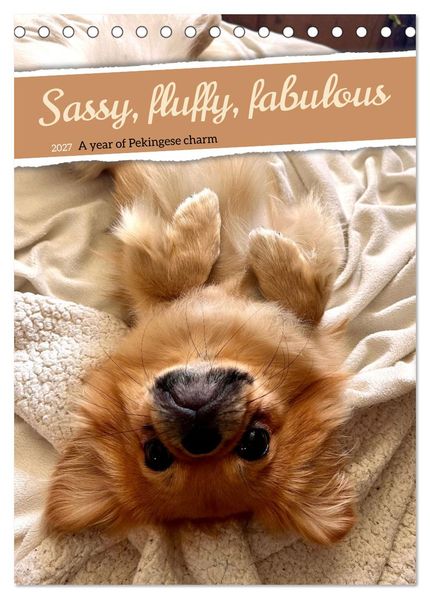 Sassy fluffy fabulous - A year of Pekingese charm (Desk Calendar 2027 DIN A5 portrait) CALVENDO 12 Month DeskCalendar