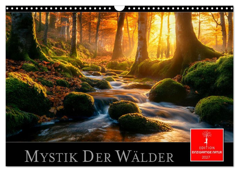 Mystik der Wälder (Wandkalender 2027 DIN A3 quer) CALVENDO Monatskalender