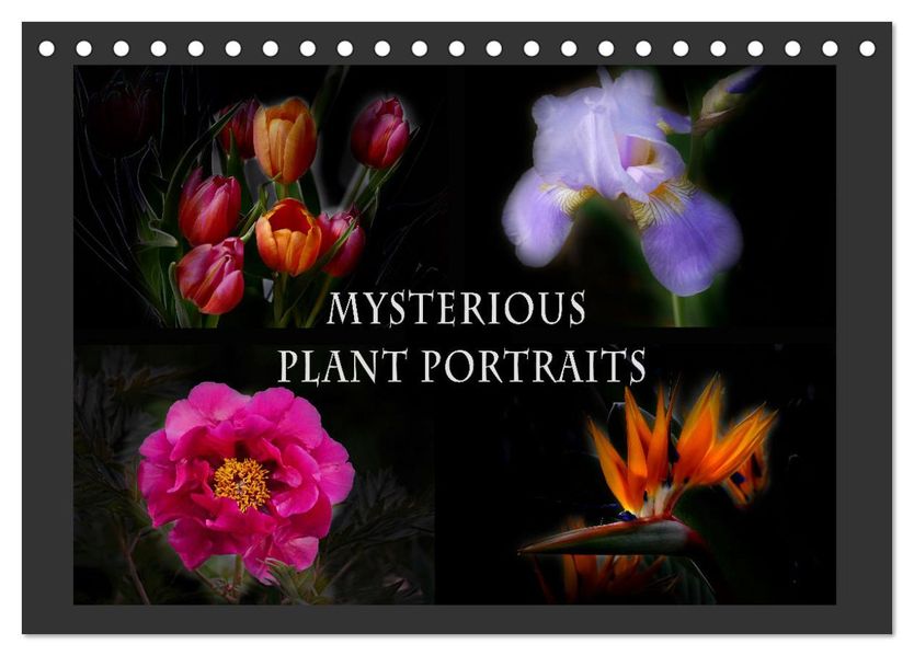 Mysterious plant portraits (Desk Calendar 2027 DIN A5 landscape) CALVENDO 12 Month DeskCalendar