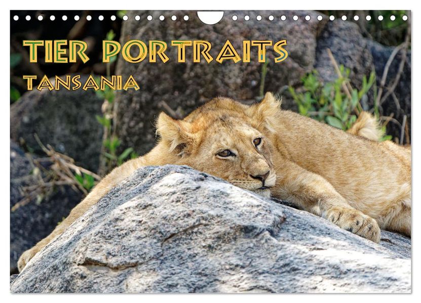 Tier Portraits Tansania (Wandkalender 2027 DIN A4 quer) CALVENDO Monatskalender