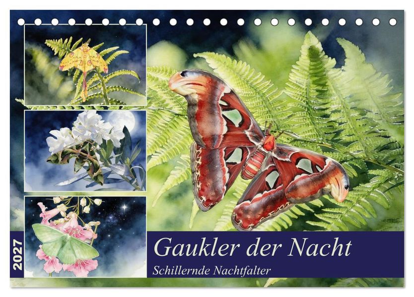 Gaukler der Nacht - Schillernde Nachtfalter (Tischkalender 2027 DIN A5 quer) CALVENDO Monatskalender