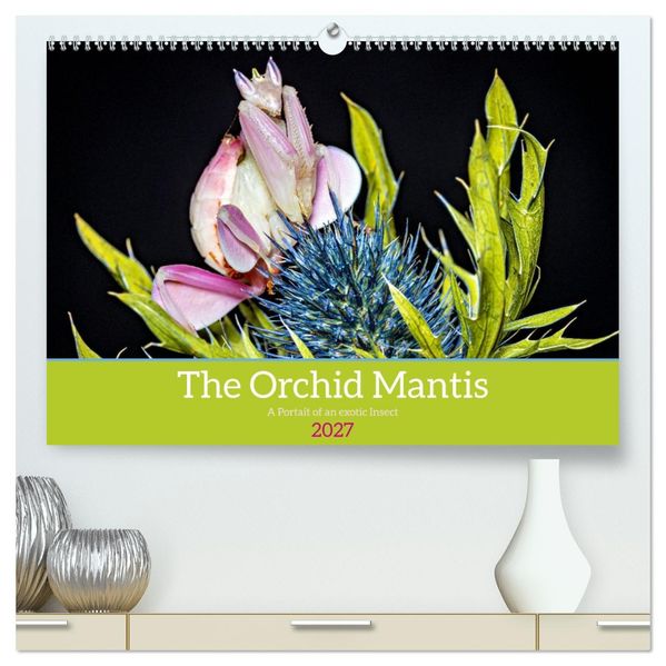 The Orchid Mantis (High Quality Premium Wall Calendar 2027 DIN A2 landscape)CALVENDO 12 Month Wall Calendar
