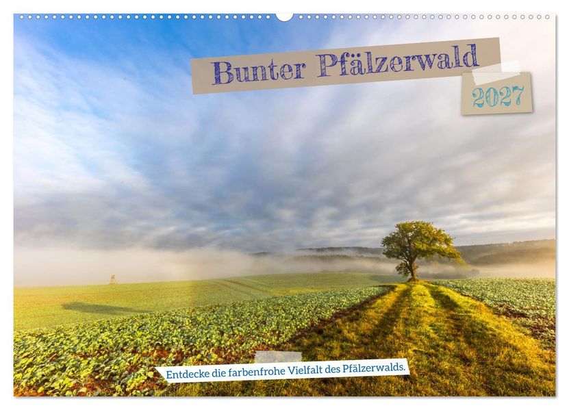 Bunter Pfälzerwald (Wandkalender 2027 DIN A2 quer) CALVENDO Monatskalender
