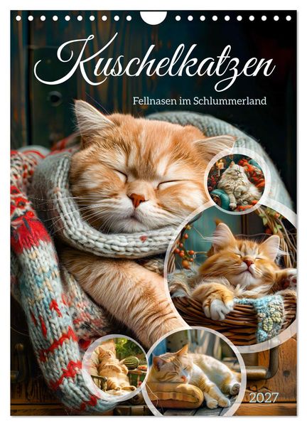 Kuschelkatzen - Fellnasen im Schlummerland (Wandkalender 2027 DIN A4 hoch) CALVENDO Monatskalender