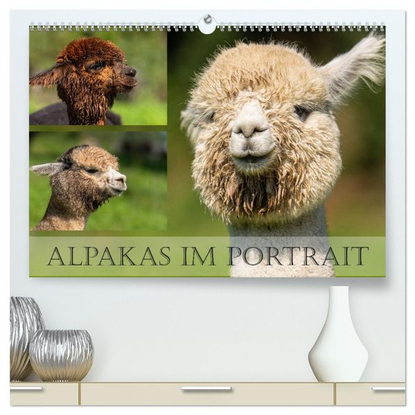 Alpakas im Portrait (hochwertiger Premium Wandkalender 2027 DIN A2 quer) Kunstdruck in Hochglanz