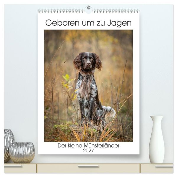 Geboren um zu Jagen. Der kleine Münsterländer (hochwertiger Premium Wandkalender 2027 DIN A2 hoch) Kunstdruck in Hochglanz