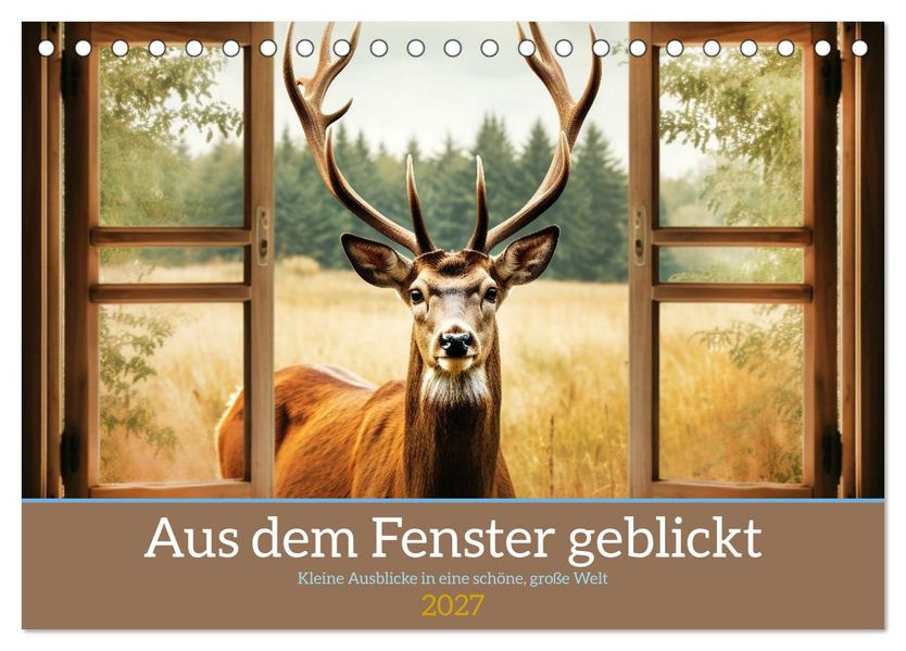 Aus dem Fenster geblickt (Tischkalender 2027 DIN A5 quer) CALVENDO Monatskalender