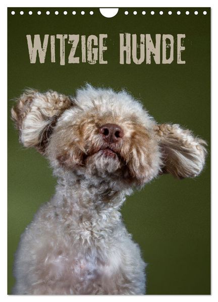 Witzige Hunde (Wandkalender 2027 DIN A4 hoch) CALVENDO Monatskalender
