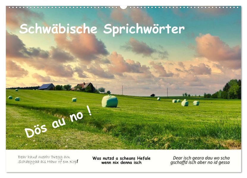 03 Schwäbische Sprichwörter - Dös au no! (Wandkalender 2027 DIN A2 quer) CALVENDO Monatskalender