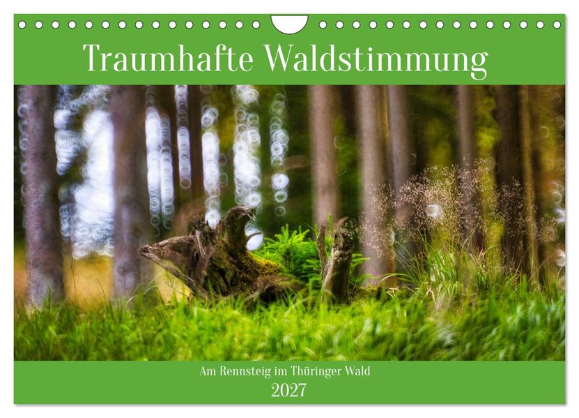 Traumhafte Waldstimmung am Rennsteig im Thüringer Wald (Wandkalender 2027 DIN A4 quer) CALVENDO Monatskalender