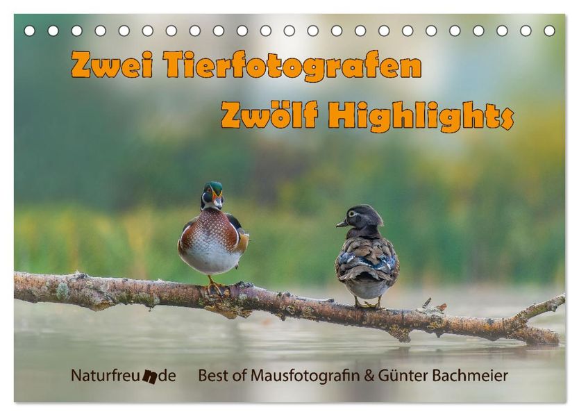 Zwei Tierfotografen Zwölf Highlights (Tischkalender 2027 DIN A5 quer) CALVENDO Monatskalender