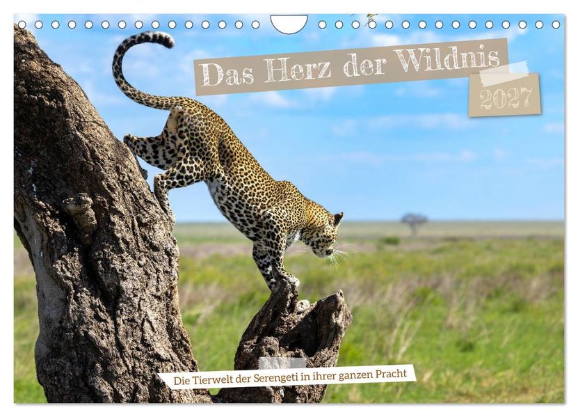 Das Herz der Wildnis (Wandkalender 2027 DIN A4 quer) CALVENDO Monatskalender