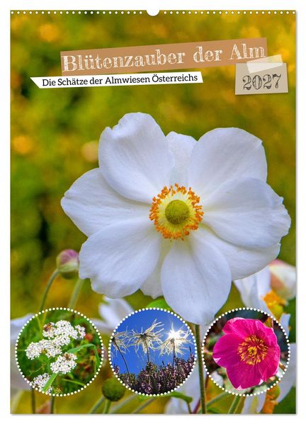 Blütenzauber der Alm (Wandkalender 2027 DIN A2 hoch) CALVENDO Monatskalender