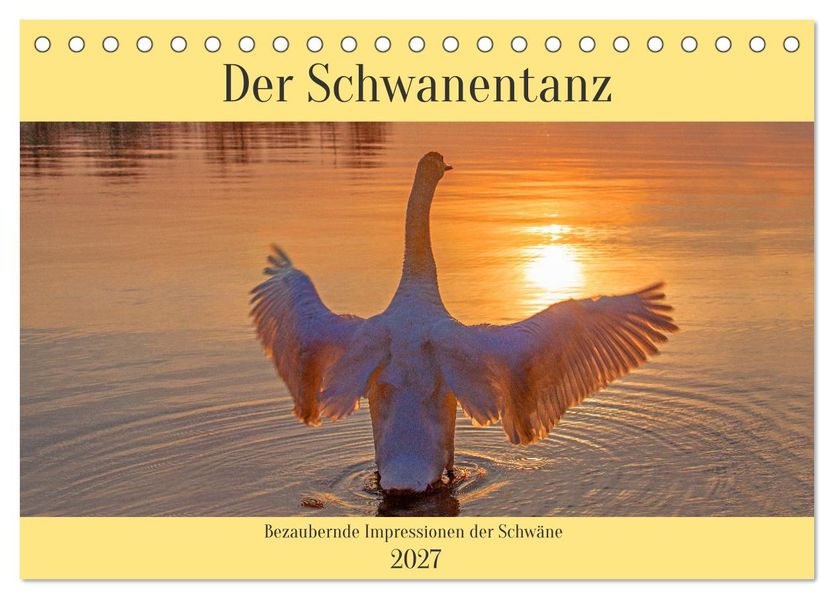 Der Schwanentanz (Tischkalender 2027 DIN A5 quer) CALVENDO Monatskalender
