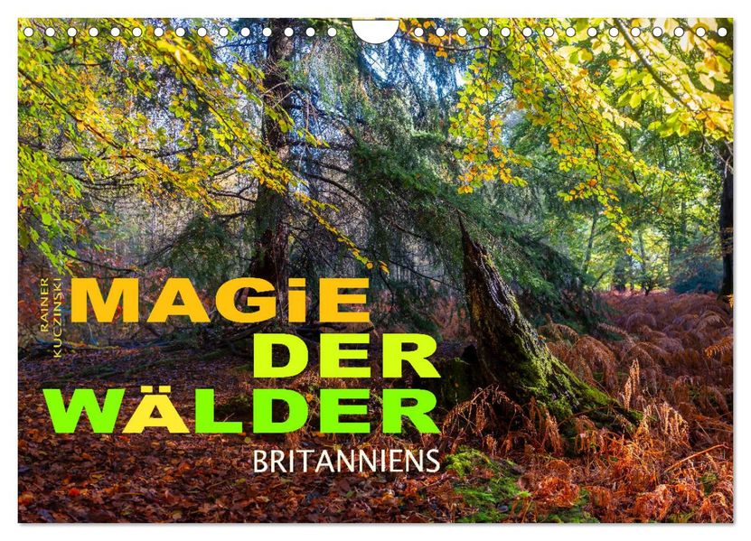 Magie der Wälder Britanniens (Wandkalender 2027 DIN A4 quer) CALVENDO Monatskalender