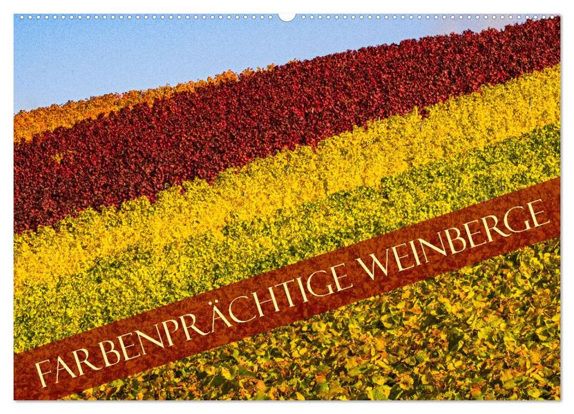 Farbenprächtige Weinberge (Wandkalender 2027 DIN A2 quer) CALVENDO Monatskalender
