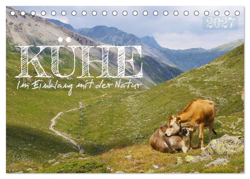 Kühe im Einklang mit der Natur (Tischkalender 2027 DIN A5 quer) CALVENDO Monatskalender