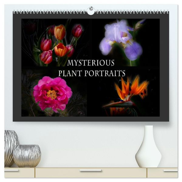 Mysterious plant portraits (High Quality Premium Wall Calendar 2027 DIN A2 landscape)CALVENDO 12 Month Wall Calendar